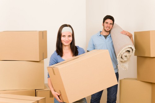 Accessibility approach for removal van service content