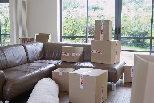 Final safety checks and protected moving equipment for removal service