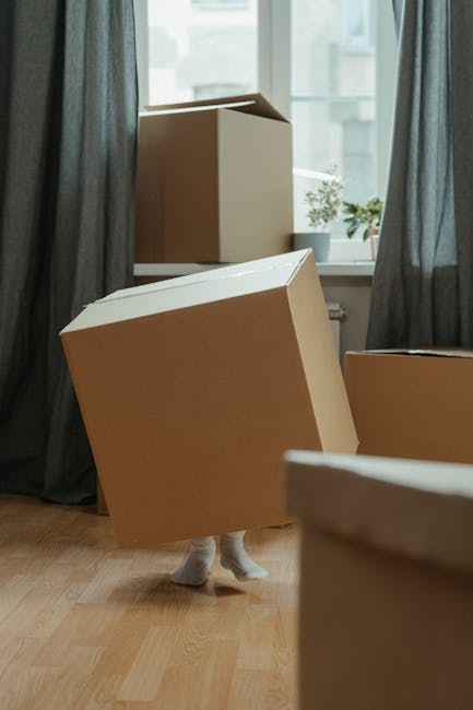 Inside a residential room with large windows allowing natural light and dark curtains hanging on either side. Several brown cardboard moving boxes, some sealed with tape and others open, are stacked on a wooden floor near the window. One box is being carried by a person whose feet and part of their legs are visible below the boxes, indicating a careful loading process. The background includes potted plants on the windowsill, enhancing the home environment. This scene depicts the packing and furniture transport stage of home relocation, aligning with professional removals services offered by Removal Van Islington, focusing on urgent moves within Islington.